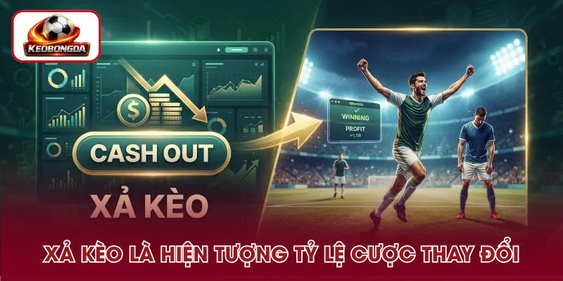 Xả kèo là gì - Đây là tình trạng tỷ lệ cược biến động