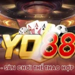 Yo88 – Sân Chơi Thể Thao Hợp Pháp, Đa Dạng Kèo Cược
