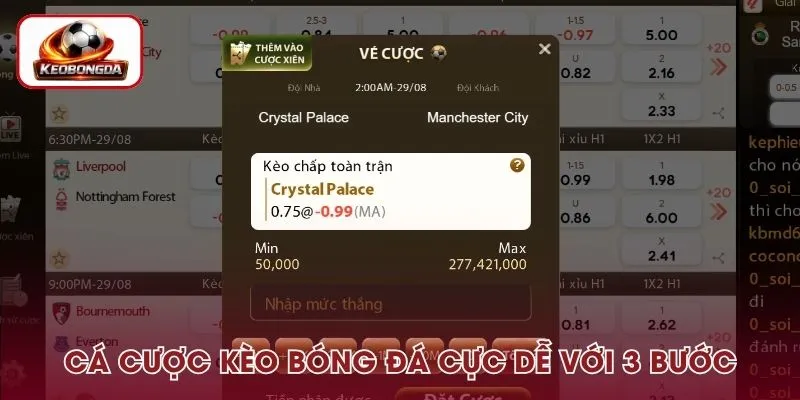 Chỉ với vài bước người chơi đã có thể đặt cược kèo bóng đá thành công